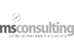MS Consulting – Gestão, Contabilidade, Planejamento